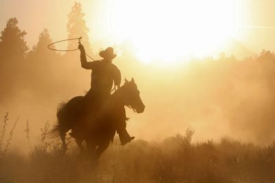 Cowboy roping in the sunset