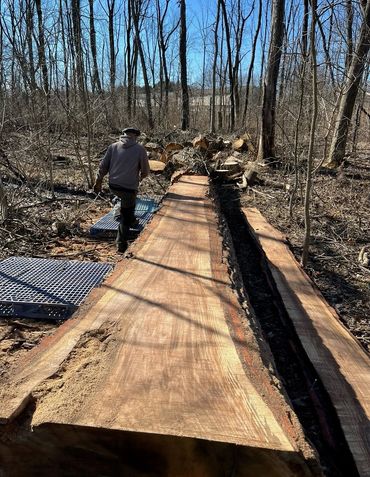 Fallen Timber Milling to Slabs