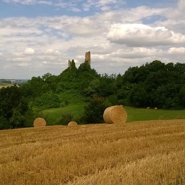 Bed and Breakfast Marciac