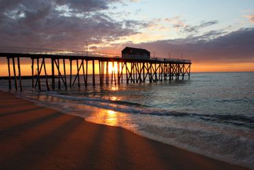 Adrienne’s Perspective