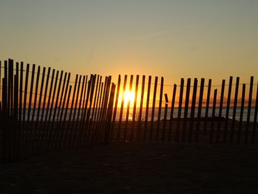 Adrienne’s Perspective