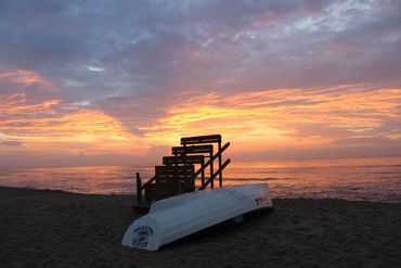 Adrienne’s Perspective