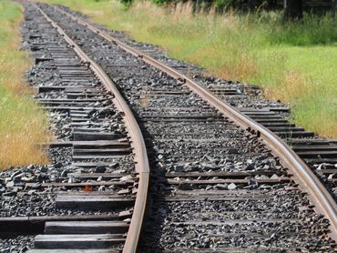 Adrienne’s Perspective