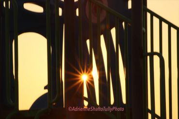 Adrienne’s Perspective