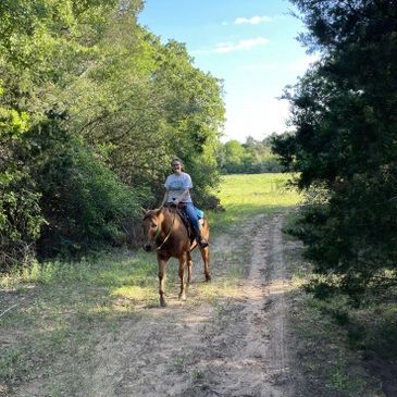 horseback riding on trails