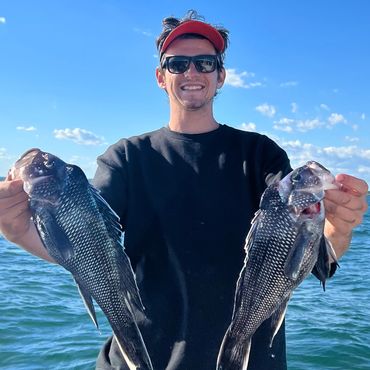 Sea Bass fishing Rhode Island
Inshore fishing charter Rhode Island