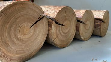 Tamarack round posts with lots of character from the early 1900's with polished end grain showing.