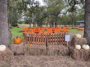 Pumpkin patch with hay bales and Halloween decorations in a wooded area.