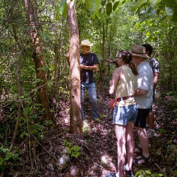 A man in a cowboy hat leads a small group of people on a guided tour through a lush jungle.