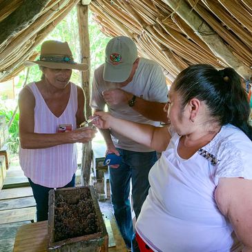A Maya beekeeper offers honey to two visitors inside a rustic wooden Melipona bee hut,