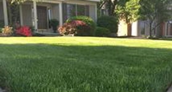 Lawn care program in Jerome Village Ohio