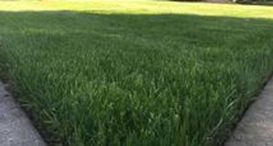 Lawn Care and fertilization services keep your yard looking great year round in Jerome Village.