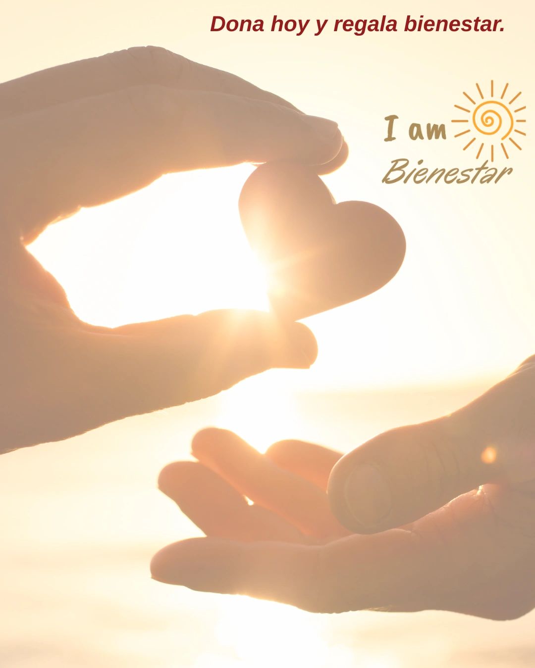 Hands holding a heart shape with sunlight and donation message in Spanish.
