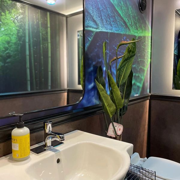 Bathroom sink area with large mirror and plant decor.