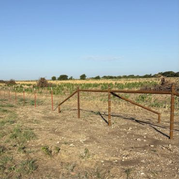 Field fencing by WP Welding Central Texas | Gatesville, Texas