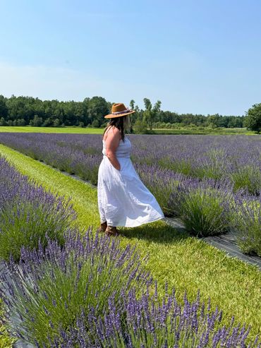 Woman in a white dress and hat walking through a lavender field under a clear blue sky.