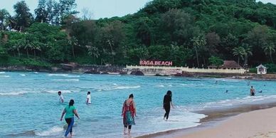 People enjoying the water at Baga Beach with lush greenery in the background.