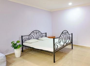 Minimalist bedroom with a black wrought iron bed and a potted plant.