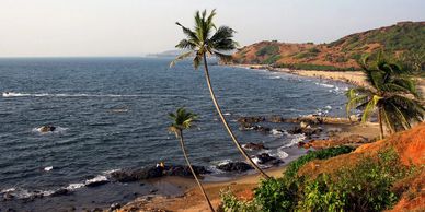 Scenic beach with palm trees and rocky coastline under a clear sky.