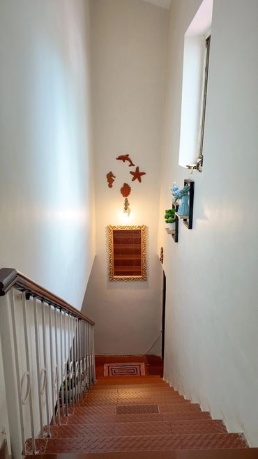 Decorated staircase with sea-themed wall art and plants.