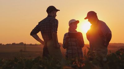 Team reviewing information, representing identity-first cybersecurity secure cloud access businesses