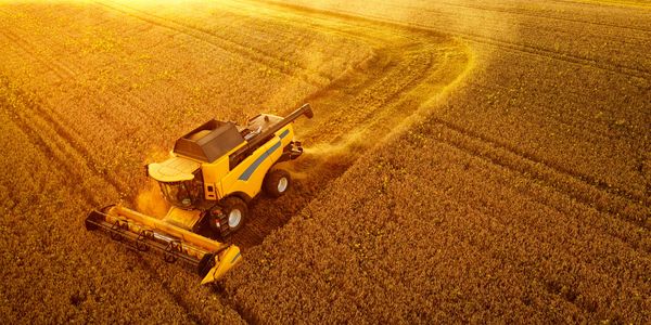 Harvesting efficiency symbolizing streamlined m365 collaboration secure cloud operations for SMBs