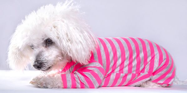 Pajamas for dogs