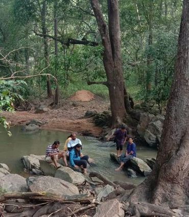 Dandeli Jungle Treking View