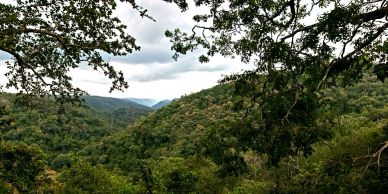Nagzeri View point Dandeli