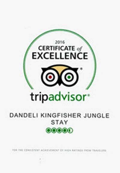 DANDELI TOP RESORT