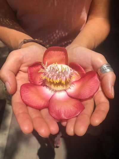 Tandava, dans-meditatie, meditatie, vrije zelfexpressie, bewustzijn, tantra, yoga, dansexpressie