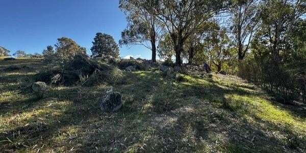 Sunlit grassy hill with scattered rocks and trees.