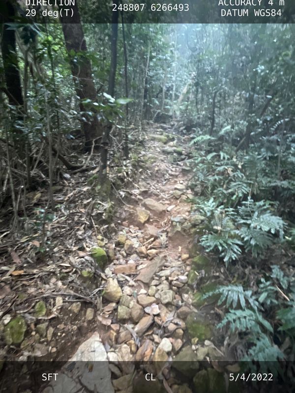 Rocky forest trail surrounded by dense greenery and trees.