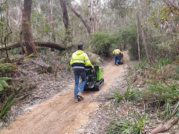 Two workers in high-visibility jackets pushing equipment on a forest trail.