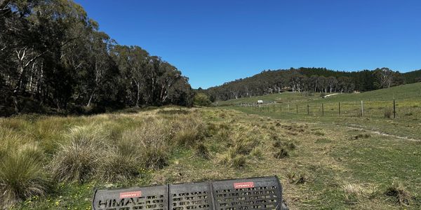 A scenic grassy landscape under a clear blue sky with a wooden bench in the foreground.