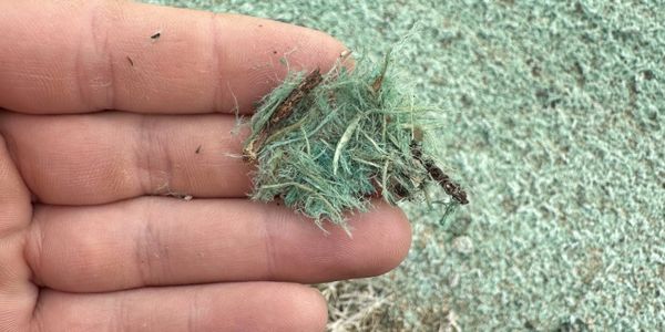 Hand holding a clump of shredded green and brown fibrous material.