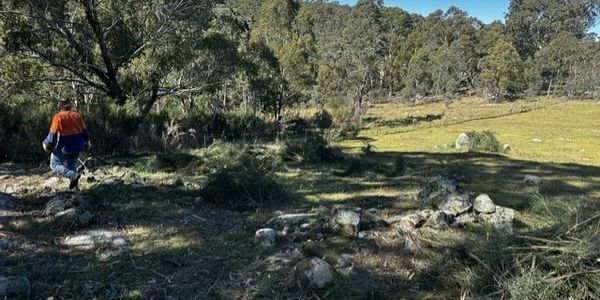 A person walking through a rocky, wooded area on a sunny day.