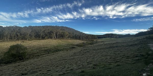 Open grassy field with distant wooded hills under a blue sky with wispy clouds.