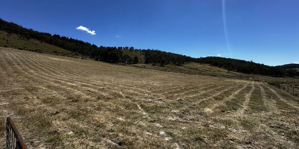 A vast, freshly mowed field under a clear blue sky.