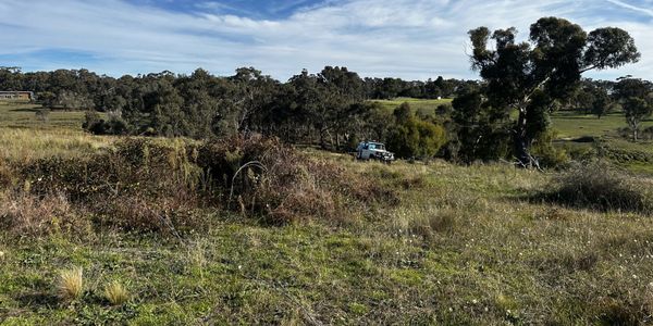 Rural landscape with a white pickup truck among trees and grass under a blue sky.