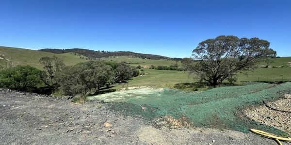 Rural landscape with rolling green hills and scattered trees under a clear blue sky.