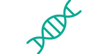 A strand of DNA.