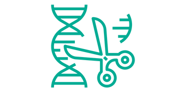 An outline of a pair of scissors and a strand of DNA.