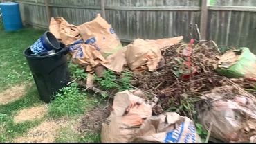 Yard debris removal