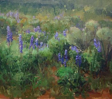 Lupine Study 8x10