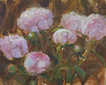 Peony Study 8x10