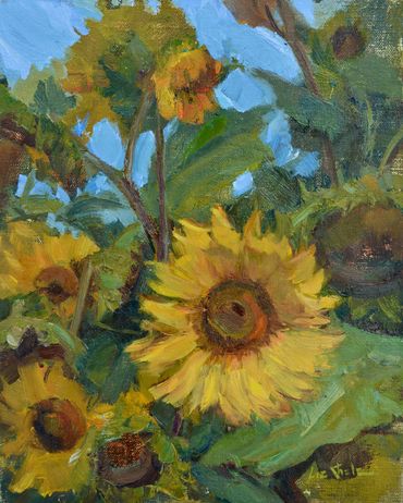 Sunflowers 12x9