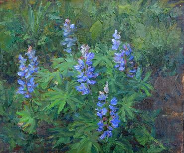Wild Lupine 10x12