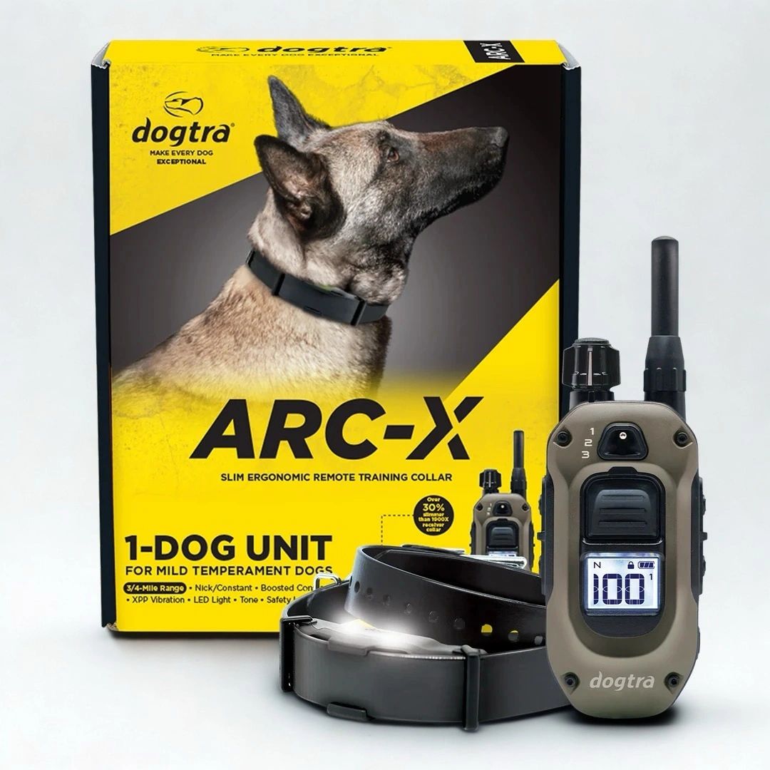 Dogtra ARC-X remote training collar kit for mild temperament dogs.