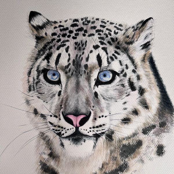 Snow leopard watercolour painting